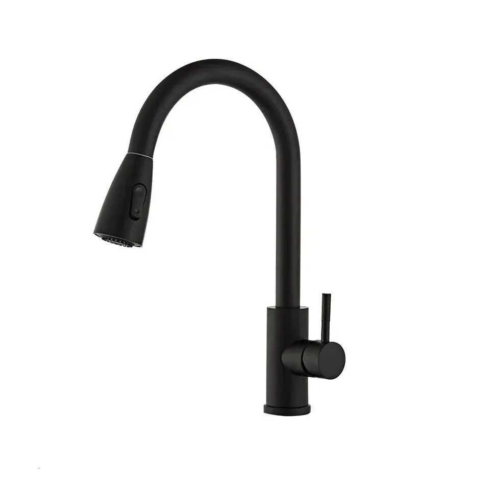 Stainless Steel Lead- Environmentally Friendly Kitchen Cposite Pl-Out Faucet Black With Second Ll Water Outlet Y251104