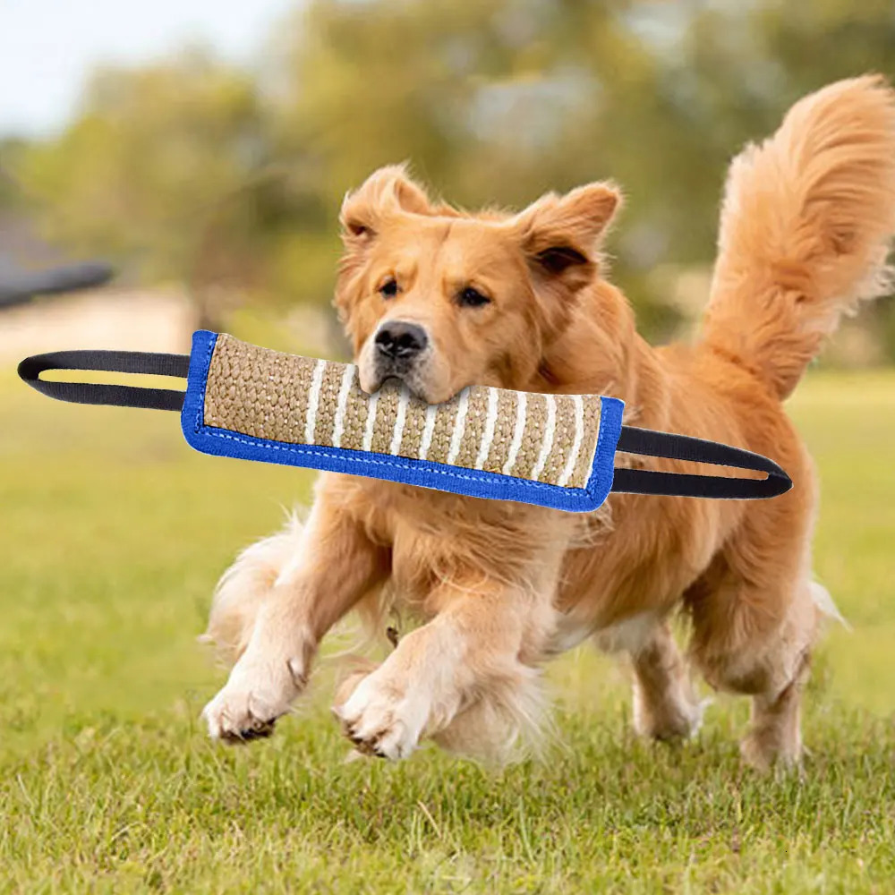 Dog training products Jaoseko dog bite sticks grinding teeth sticks bite target pet supplies stick dog toys 250402