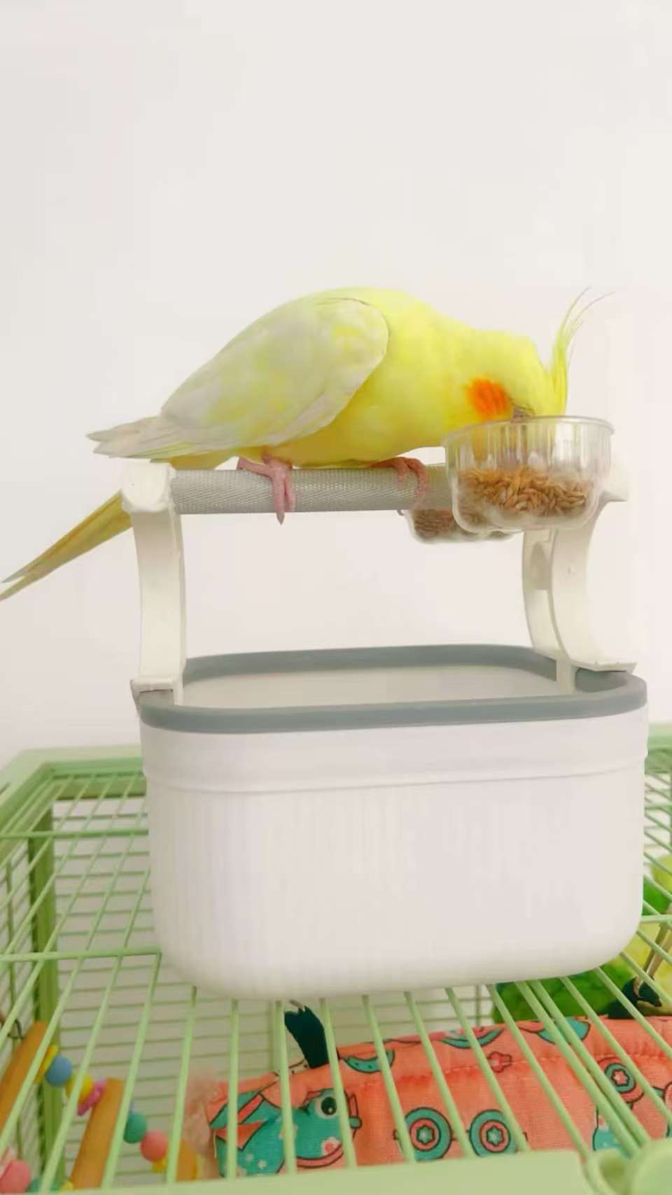 Parrot Training Perch with Disposable Tray - Target Toilet Training Stand for Budgies & Cockatiels, Easy-Clean Cage Accessory