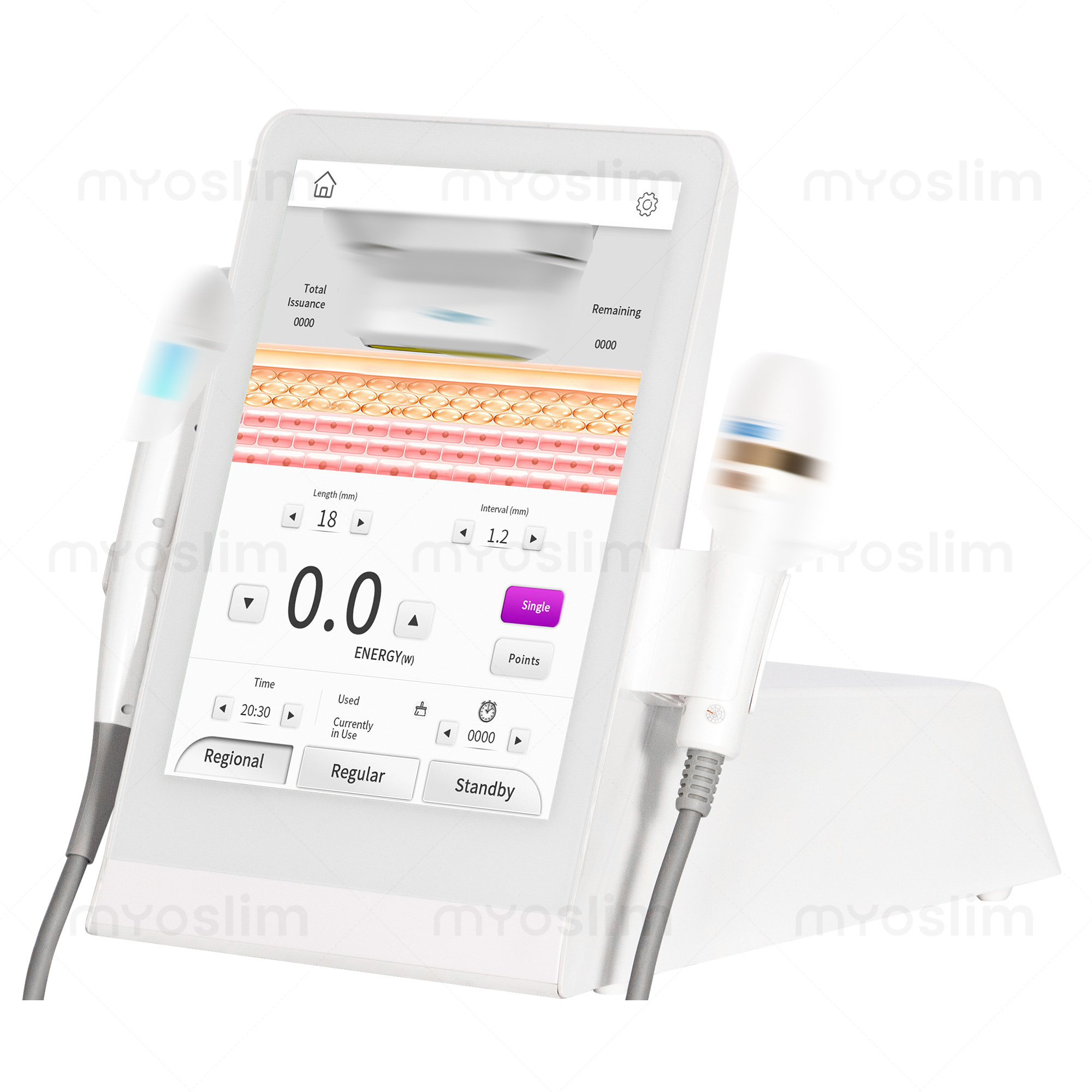 Body Tightening Beauty SPA Instrument Wrinkle Removal Skin Firming Facial Shaping And Elasticity Hot Selling