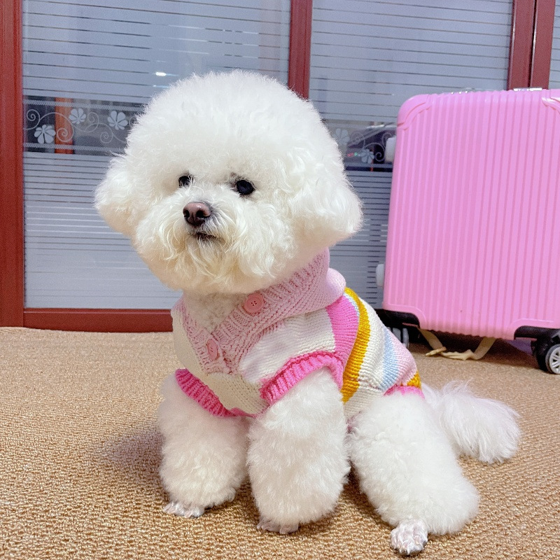 Colorful Striped Pet Dog Knitted Sweater, Hooded Design for Warmth, for Small Medium Dogs, Cute Dog Apparel with Button Detail, Perfect for Cold Weath