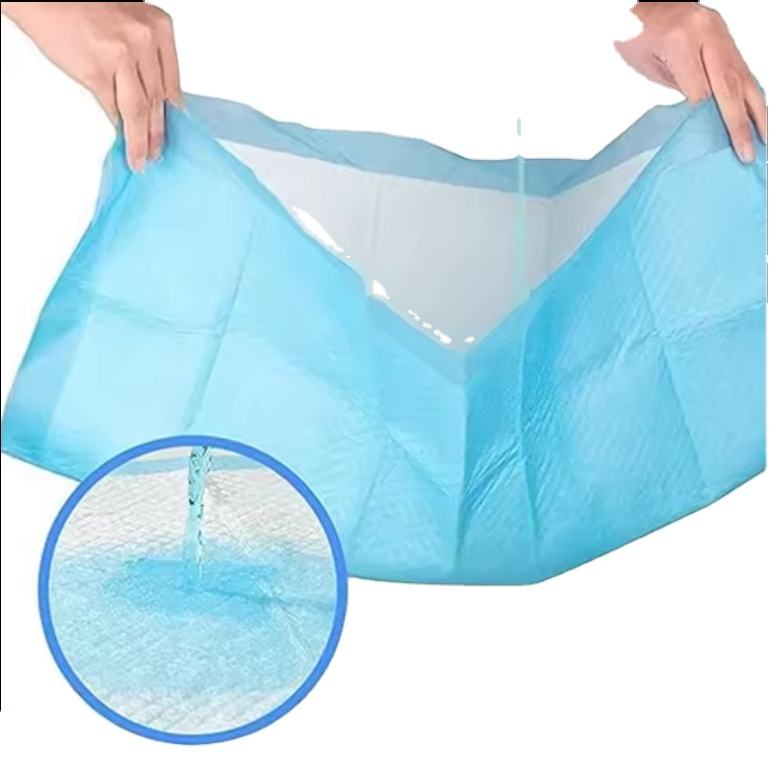 Basics Dog and Dog Pee Pads, 5-Layer Leakproof Super Absorbent, Quick-Dry Surface, Potty Training, Regular (60*60cm), 40 Count, Blue