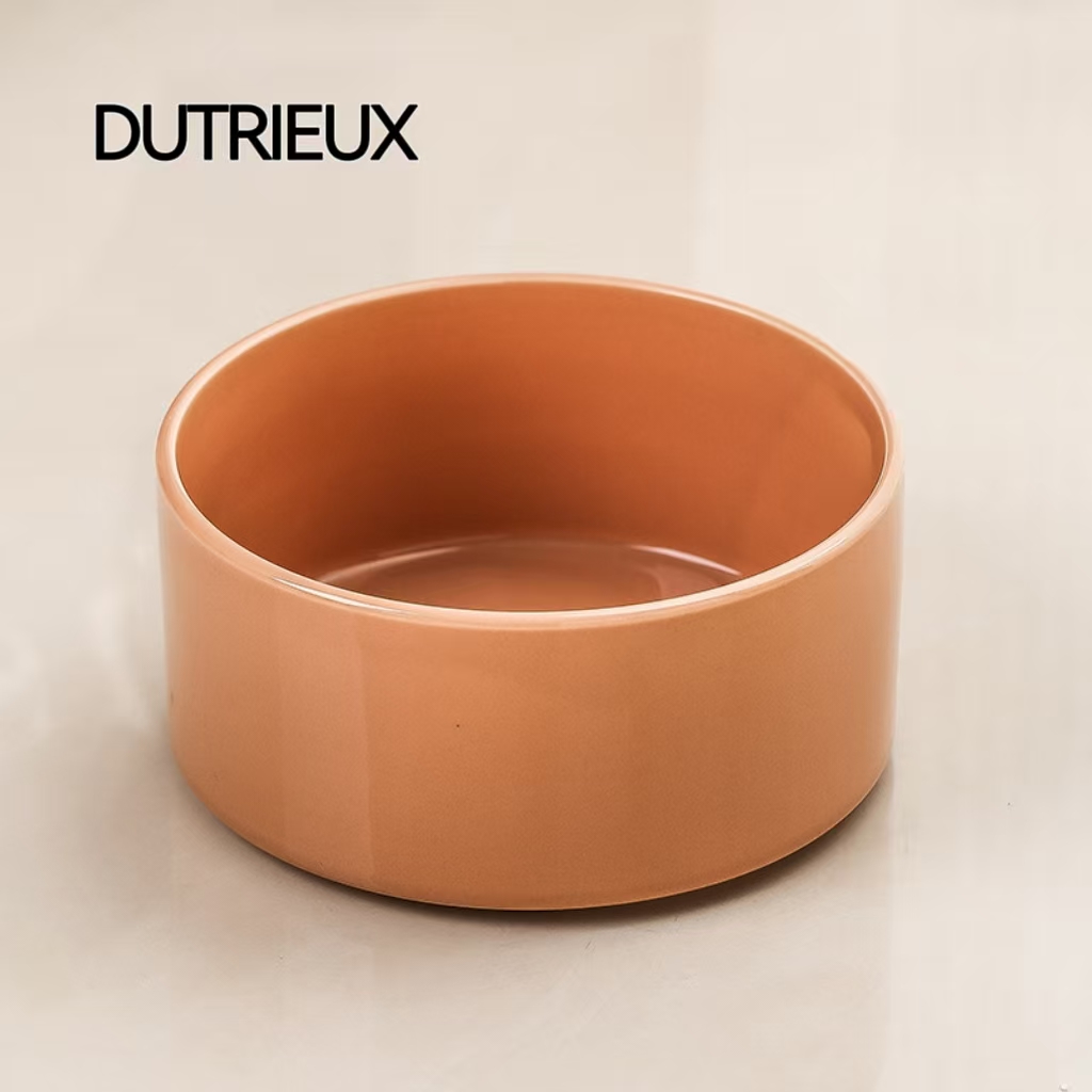 H1296 Pet turtle anti-tipping feeding station with ceramic ramp design