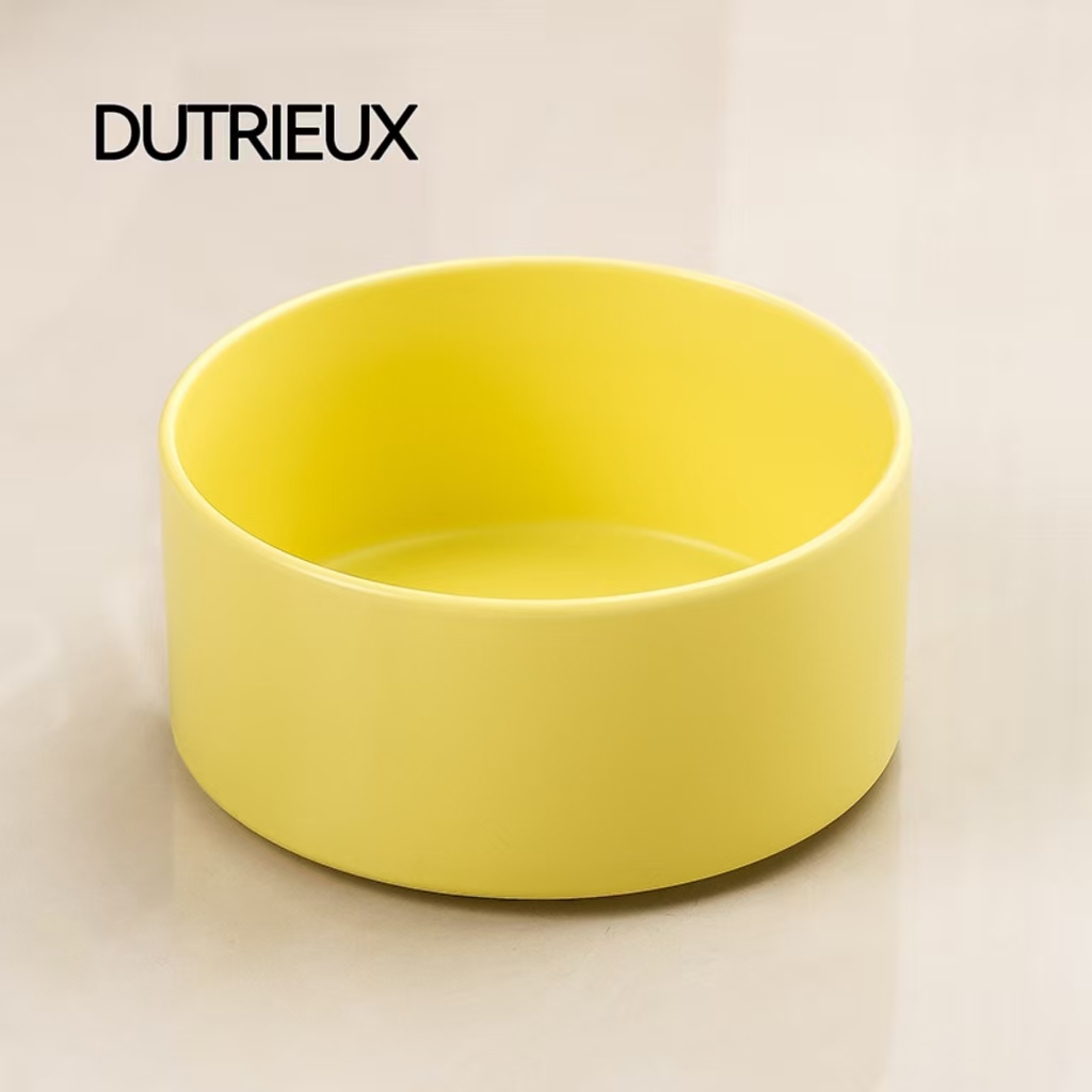 H1296 Pet turtle anti-tipping feeding station with ceramic ramp design