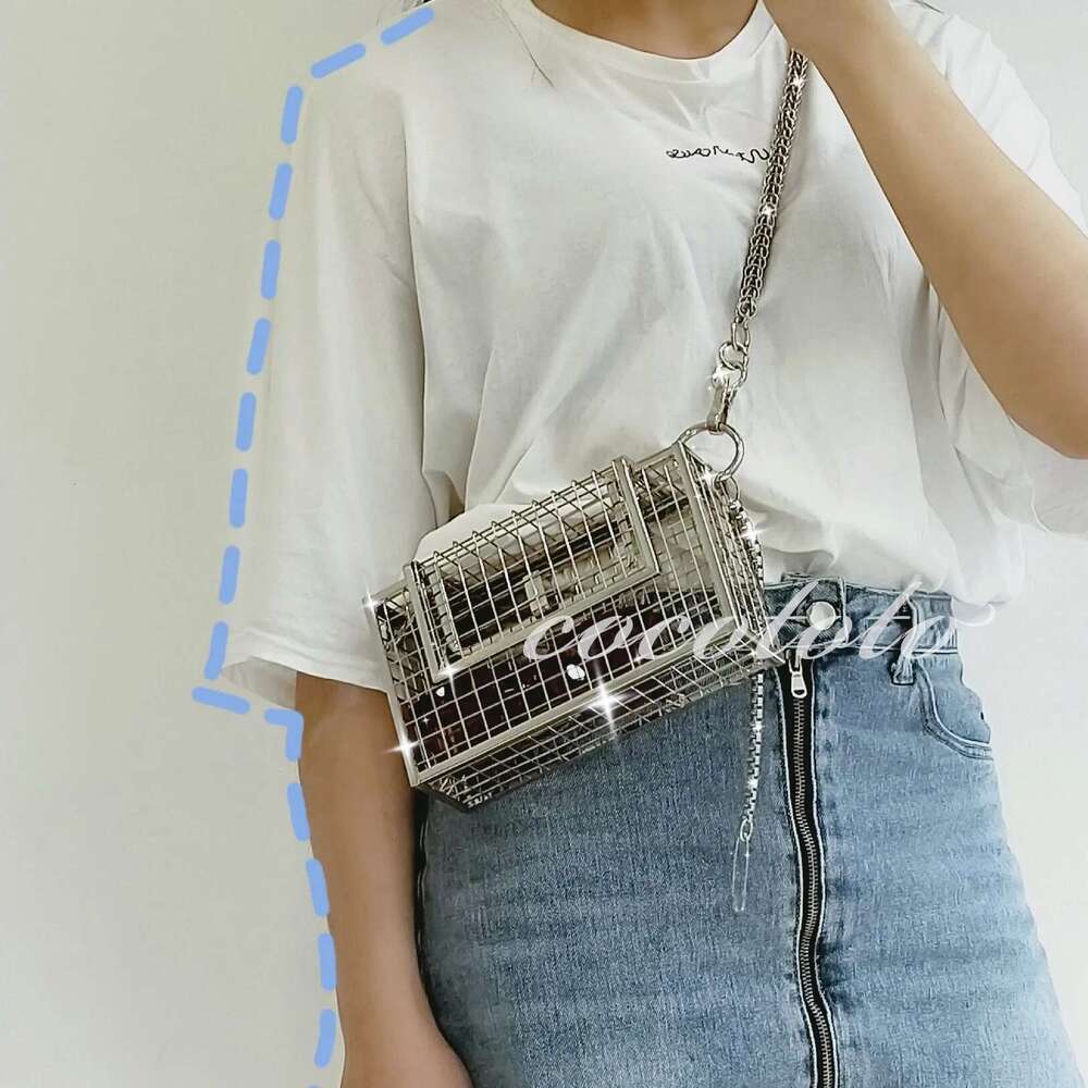 INS Hollow Out Clutch Bird Women Handbag Tote Metal Cage Girls Top-Handle Bags Purse Fashion Party Pouch Evening Bag