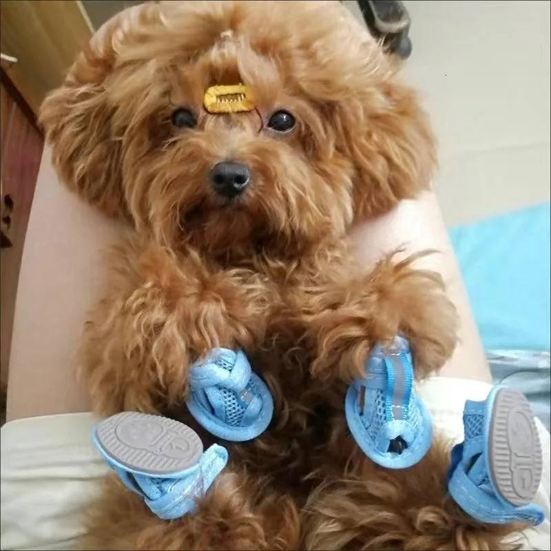 Summer Cat Dog Shoes 4Pcs Set Mesh Pet Sandals for Small Dogs Cats Anti Slip Durable Puppy Shoes Pet Outdoor Walking Supplies 250402