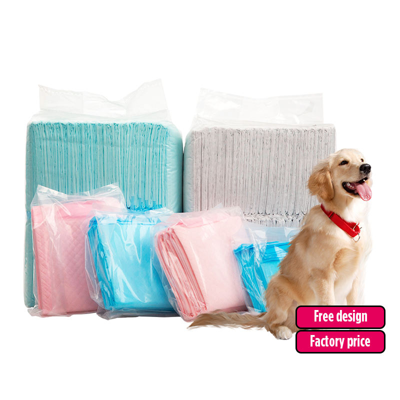 Basics Dog and Dog Pee Pads, 5-Layer Leakproof Super Absorbent, Quick-Dry Surface, Potty Training, Regular (60*60cm), 40 Count, Blue