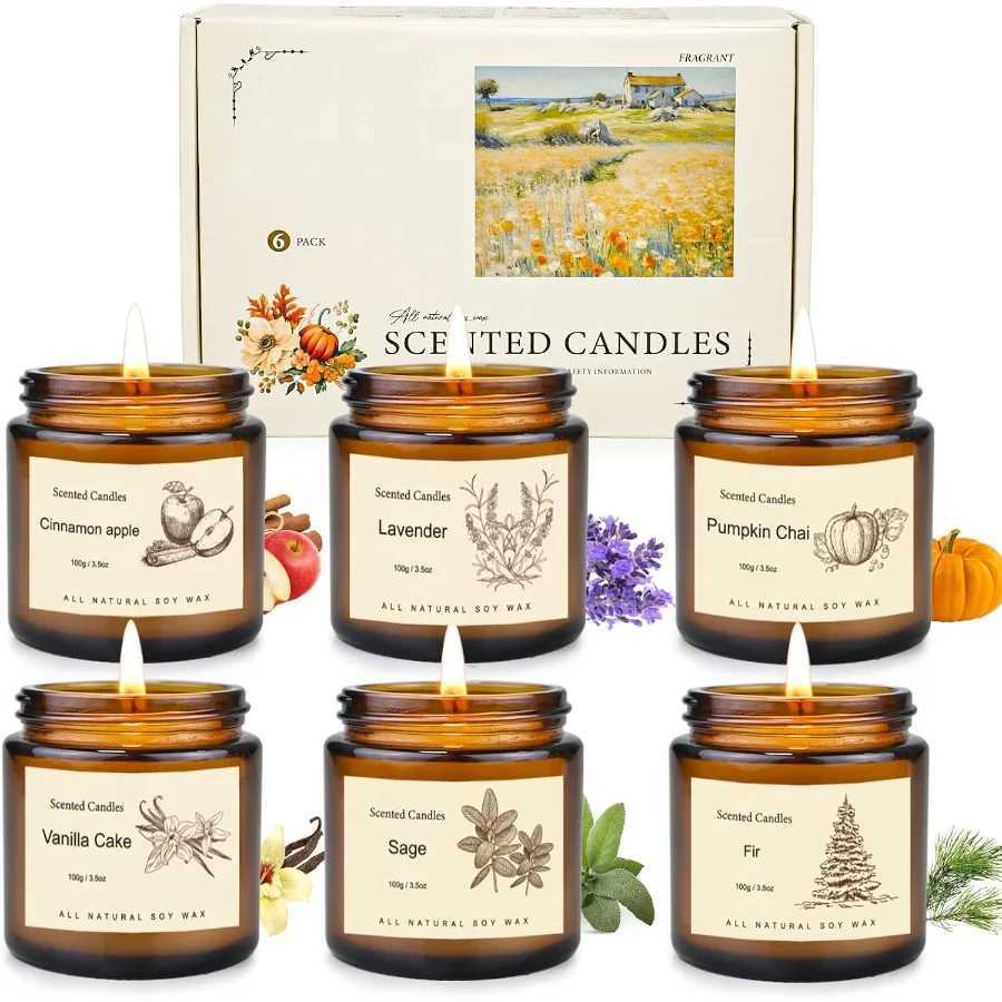 6 Pack Fall Scented Candles for Home Decor Natural Soy Aromatherapy Candles Ideal for Autumn Winter Holidays Perfect Gift Set f C251105