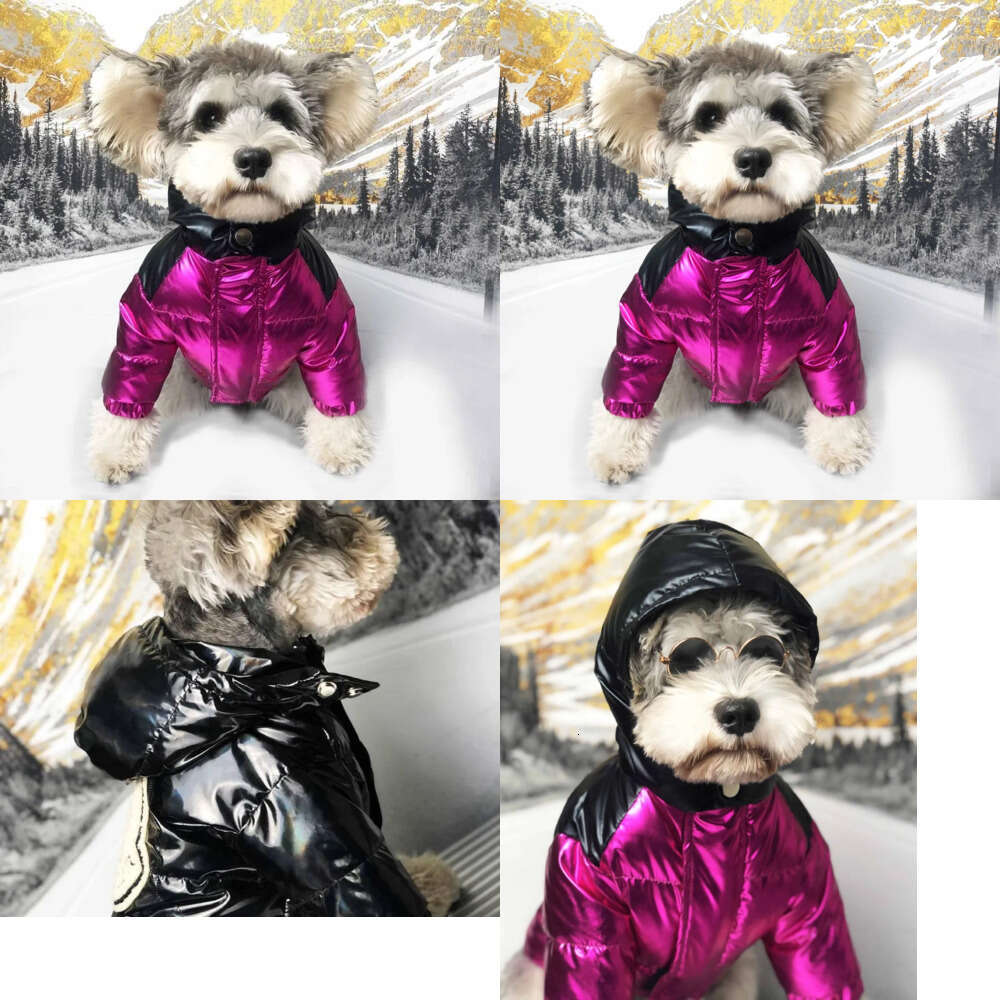 Designer Winter Popular Apparel Ski Suit Pet Down Jacket Puffer Cool Handsome Dog Coat Poodle Drop Ship