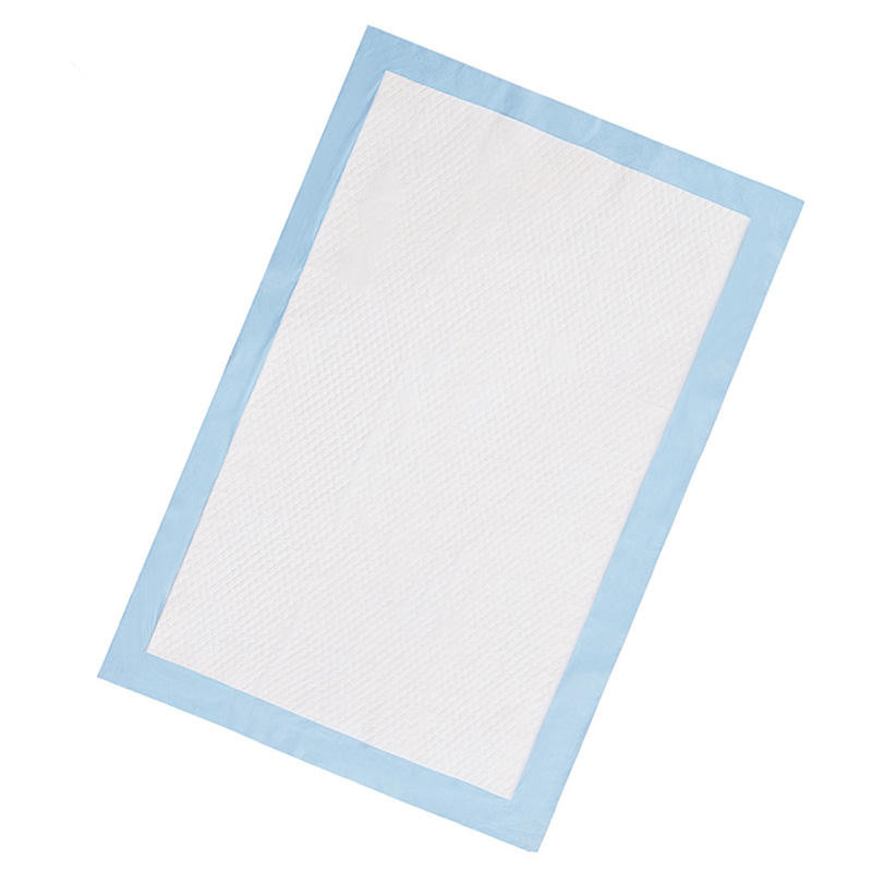 Basics Dog and Dog Pee Pads, 5-Layer Leakproof Super Absorbent, Quick-Dry Surface, Potty Training, Regular (60*60cm), 40 Count, Blue