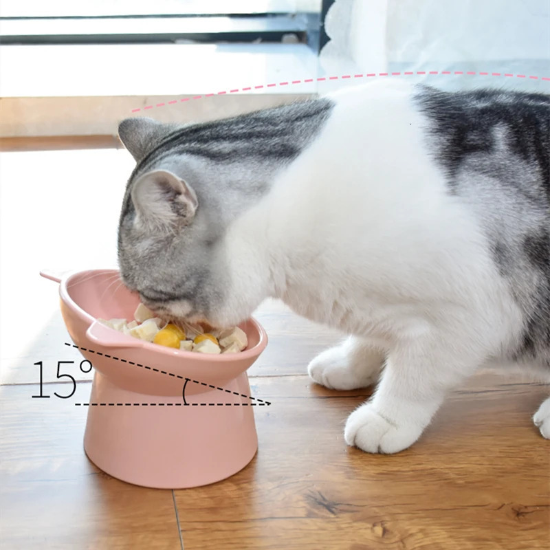 pet cat and dog bowl high legged dog bowl 45 ° neck protection cat pet food water bowl over ear pet feeding bowl to prevent excessive feeding 250403