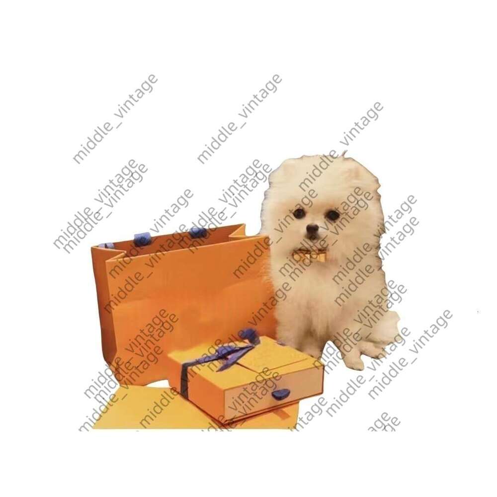 INS Same Style Dog Supplies Dog Leash And Cat Collar With Metal Knot, Fashionable Pet Accessories, Designer Dog Collar And Cat Leash Set With Packagin