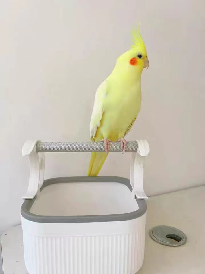 Parrot Training Perch with Disposable Tray - Target Toilet Training Stand for Budgies & Cockatiels, Easy-Clean Cage Accessory