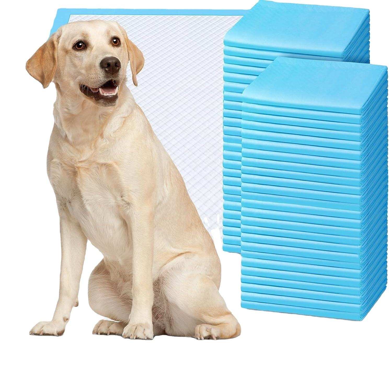 Basics Dog and pet urine pads, 5-Layer Leakproof Super Absorbent, Quick-Dry Surface, Potty Training, Regular (33*45cm),100 Count, Blue