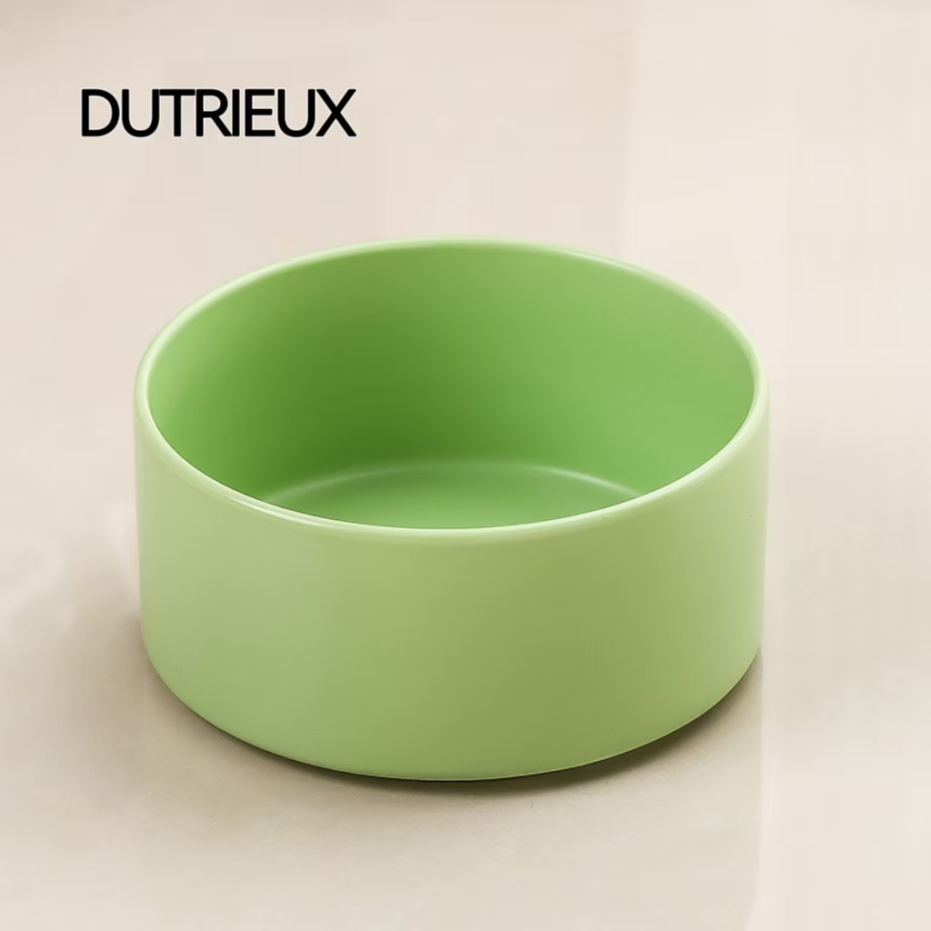 H1296 Pet turtle anti-tipping feeding station with ceramic ramp design