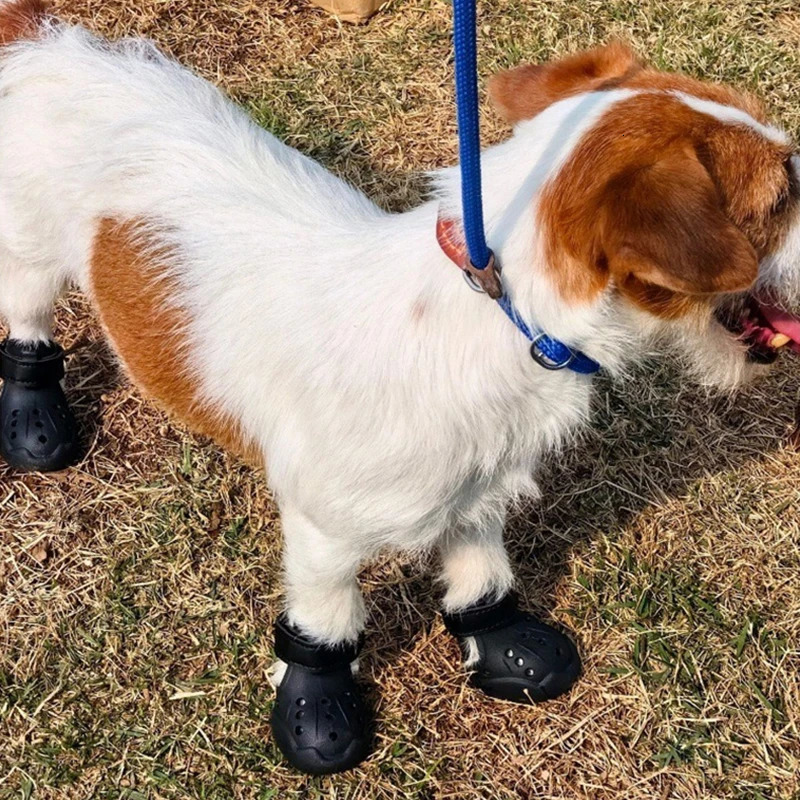 4pcs/set Water Proof Dog Shoes Summer Dog Sandals Anti-slip EVA Pet Dog Boots for Small Medium Large Dogs To Walking Running 250402
