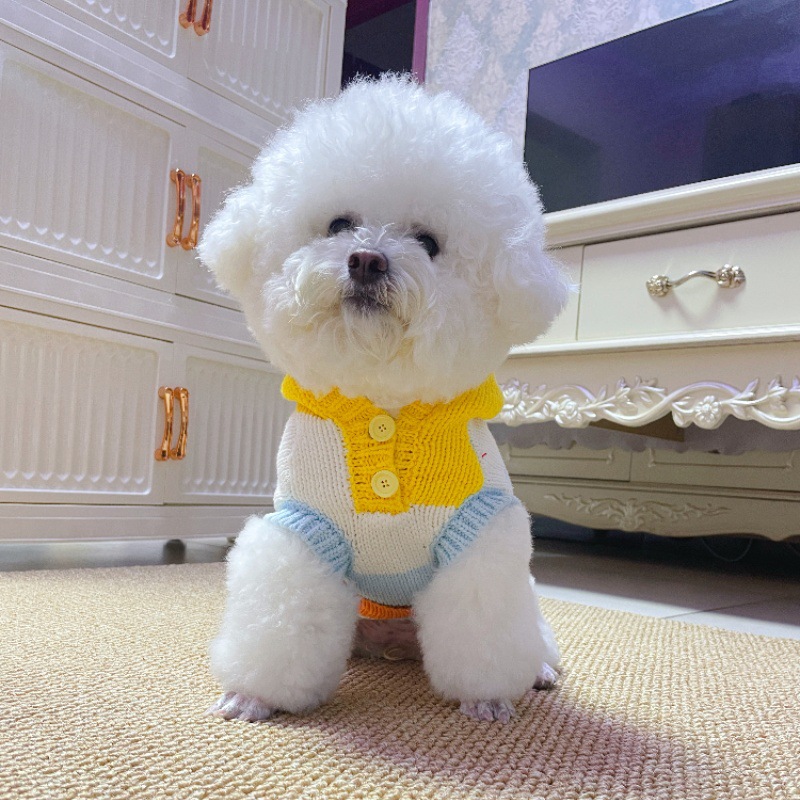 Colorful Striped Pet Dog Knitted Sweater, Hooded Design for Warmth, for Small Medium Dogs, Cute Dog Apparel with Button Detail, Perfect for Cold Weath