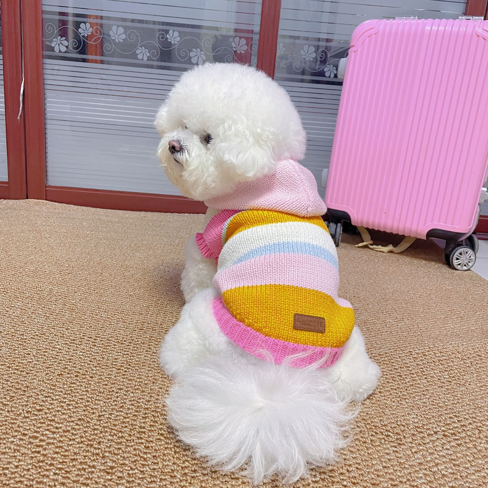 Colorful Striped Pet Dog Knitted Sweater, Hooded Design for Warmth, for Small Medium Dogs, Cute Dog Apparel with Button Detail, Perfect for Cold Weath