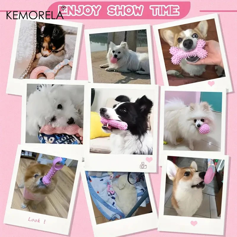 6 dog chew toys for cleaning teeth soft rubber bones fun balls interactive donut treatment set for small and medium-sized dog pet gifts 250402