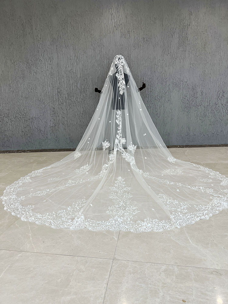 Modern Appliques Wedding Veil Lace One Layer Cathedral Length Bride Veils With Comb High Quality Customized velo de novia