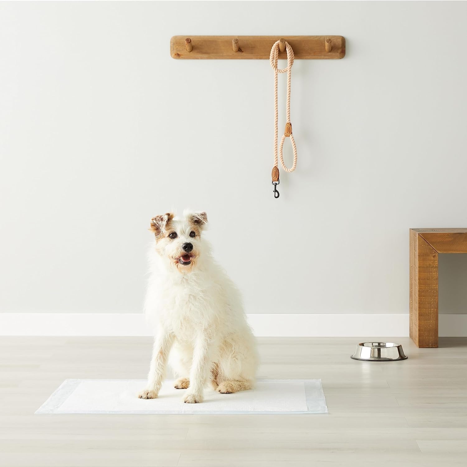 Basics Dog and pet urine pads, 5-Layer Leakproof Super Absorbent, Quick-Dry Surface, Potty Training, Regular (33*45cm),100 Count, Blue