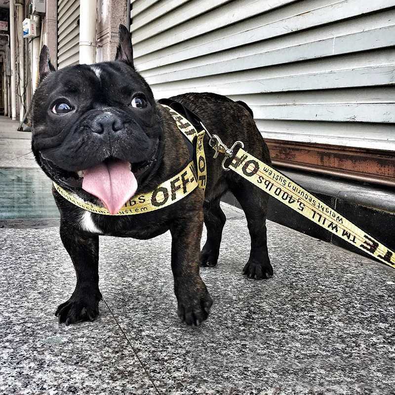 Fashion Dog Collar Leash Set Gold Chain Nylon Pets Dog Collar Leash Long Rope Lettered Collar Perro Collar For Pitbull Puppy Dog W251105