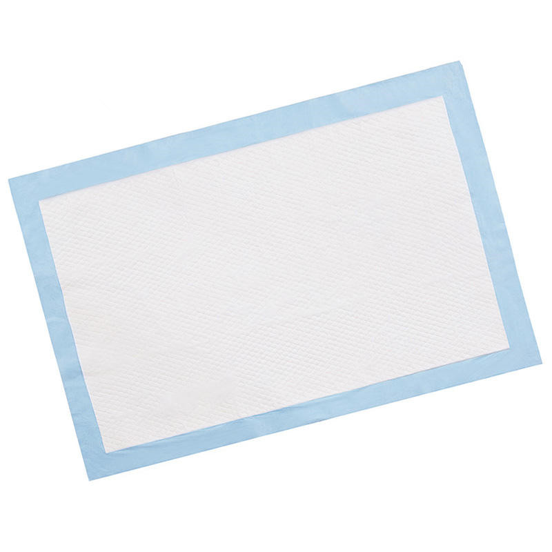 Basics Dog and pet urine pads, 5-Layer Leakproof Super Absorbent, Quick-Dry Surface, Potty Training, Regular (33*45cm),100 Count, Blue