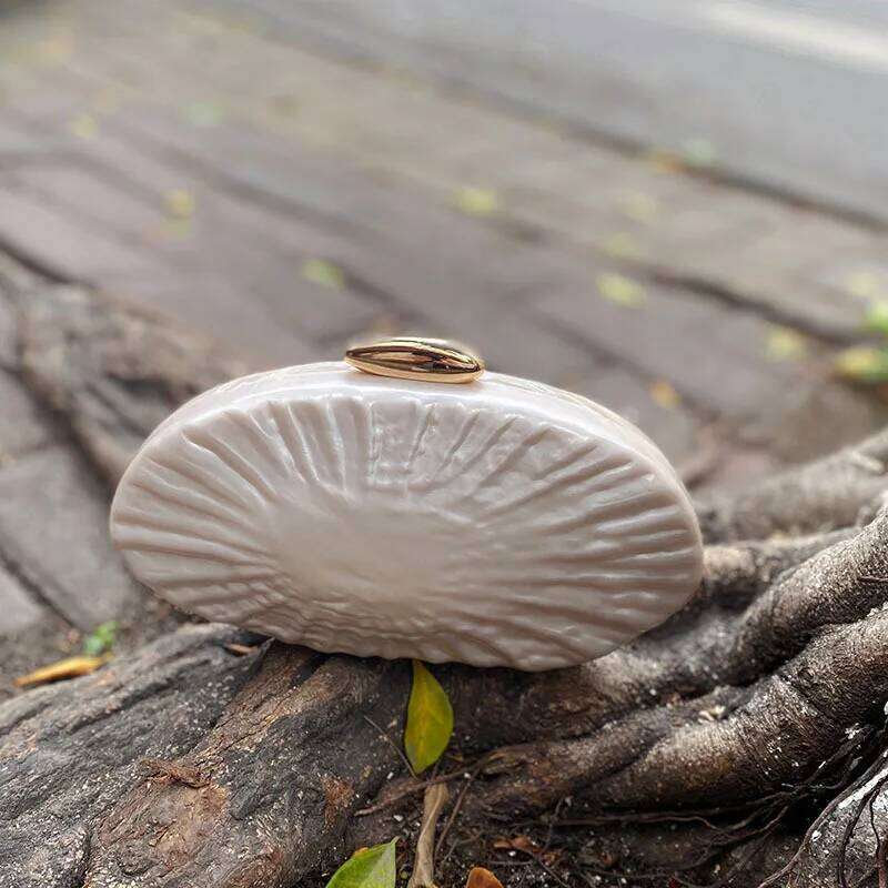 Designer Bags New Oblique Span Shell Pleated Acrylic Fashion Wedding Dinner Clutch Bag Luxury Bag