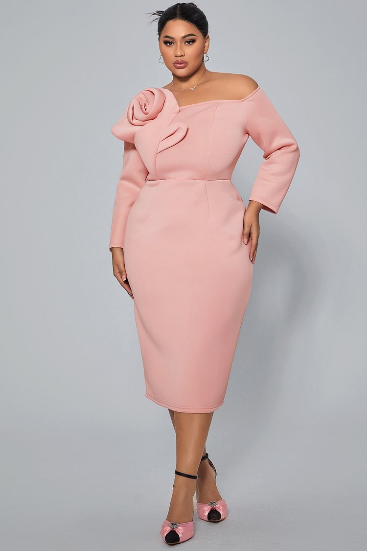 Aso Ebi Pink Evening Dress Formal Party Prom Gowns Off The Shoulder Weddings Reception Gown Formal Occasion Dress Vestidos De Noche Plus Size Customiz