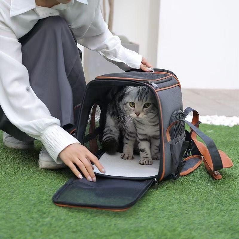 Spring portable large capacity foldable breathable backpack essential carry-on pet bag cat bag