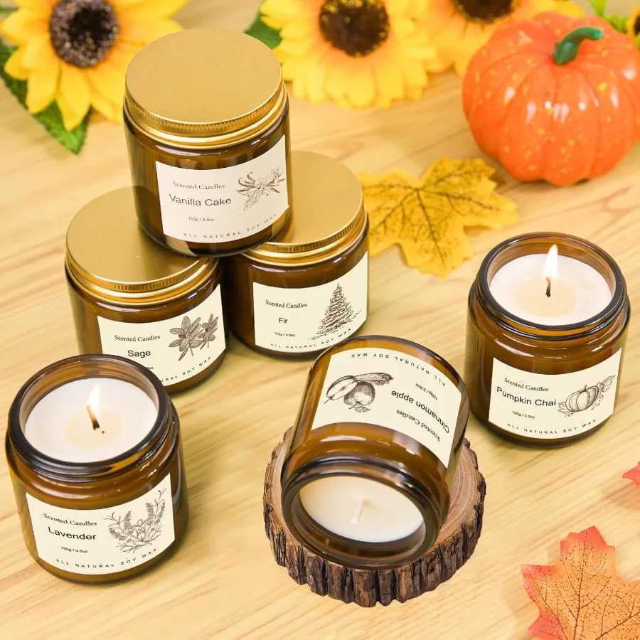 6 Pack Fall Scented Candles for Home Decor Natural Soy Aromatherapy Candles Ideal for Autumn Winter Holidays Perfect Gift Set f C251105