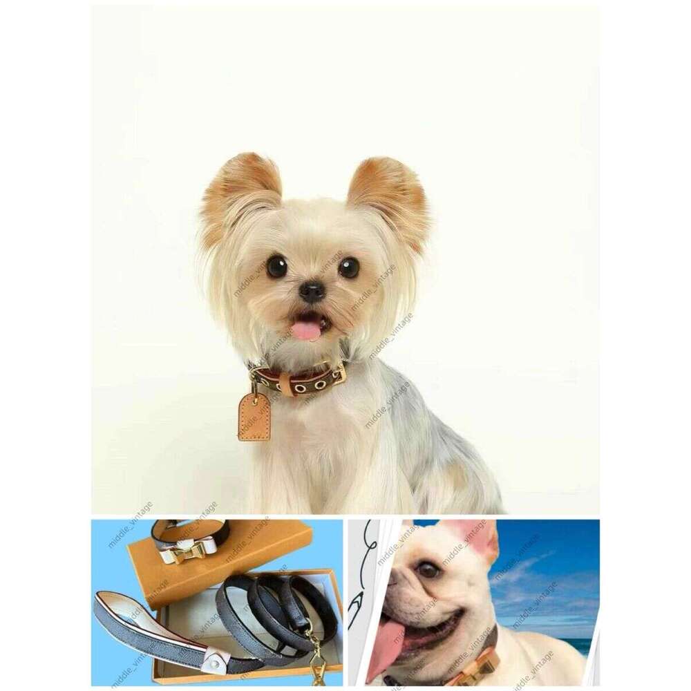 Ins Style Pet Supplies Store Luxury Gift Leather Designer Dog Leash Set Durable Pets Collar With Bow - Stylish And Comfortable Cats Collars Small, Med