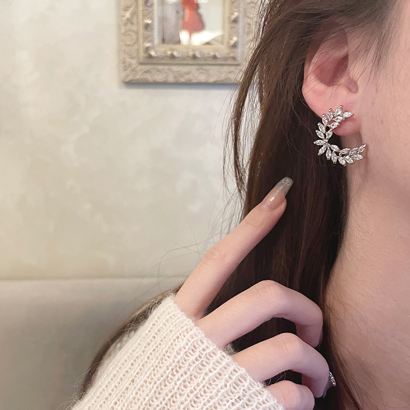 Silver Needle Korean Style Ins Zircon Round Minimalist Elegant Light Luxury Earrings Niche High-end Feel Ear Jewelry