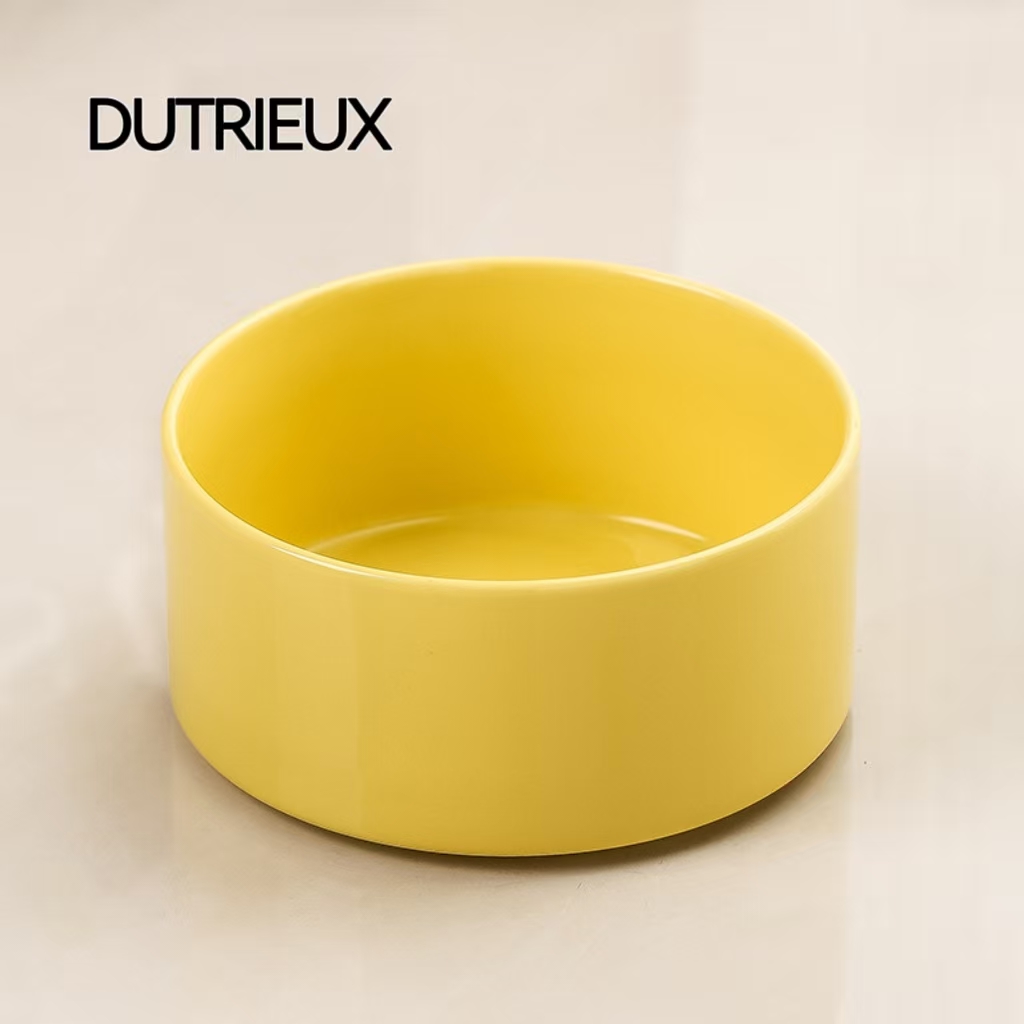 H1296 Pet turtle anti-tipping feeding station with ceramic ramp design