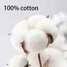 Wearing Titan Hooded Sweatshirt Shingkino Kyojin Clothing Sweater 2025 Mens Winter Cotton Hooded Sweatshirt Top W251106