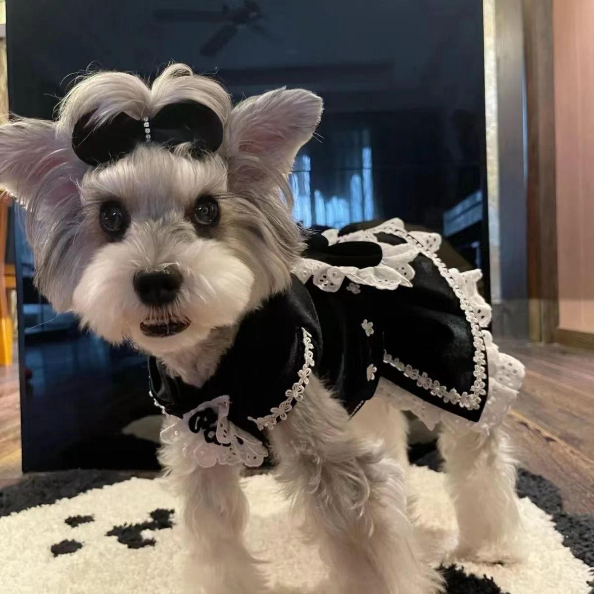 Dog Black Velvet Formal Gown Princess Dress Cat Yorkshire Terrier Pet Bichon Frise Pomeranian Teddy Small Size H260130