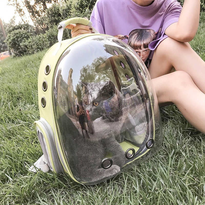 Pet backpack breathable portable travel backpack space capsule cat bag side open pet bag go out