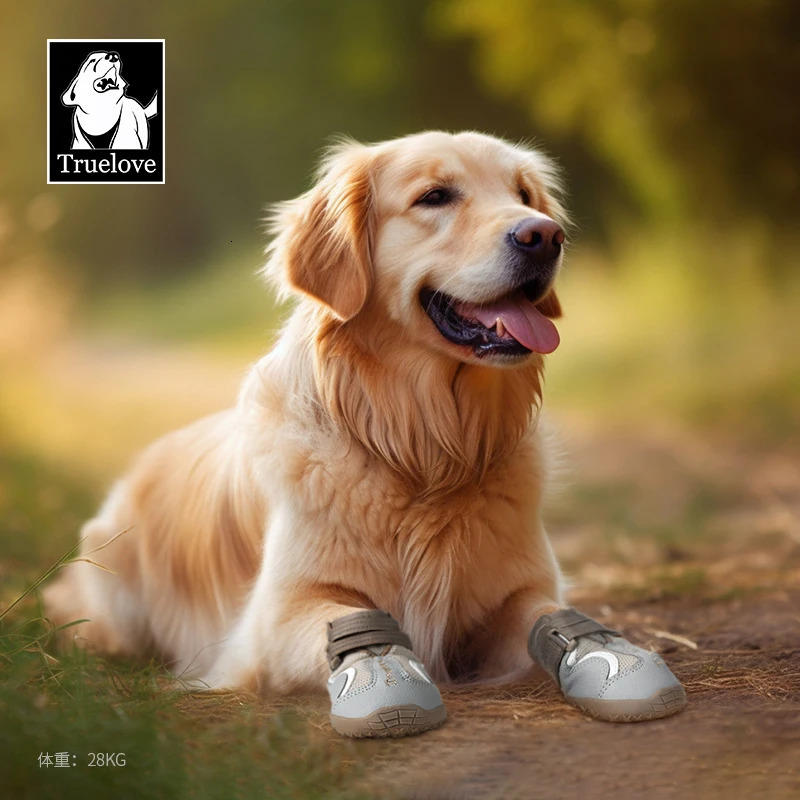 Truelove Breathable Dog Shoes with TPR Sole Flexible Protectable Soft Outsole Classic Outdoor Dog Boots All Breed 4Pcs TLS3962 250402
