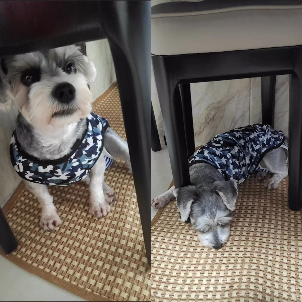 Summer Pet Dog Cooling Vest Camouflage Breathable Cat Clothes Small Medium Large Dog Puppy French Bulldog Clothes Dog Costume 250402