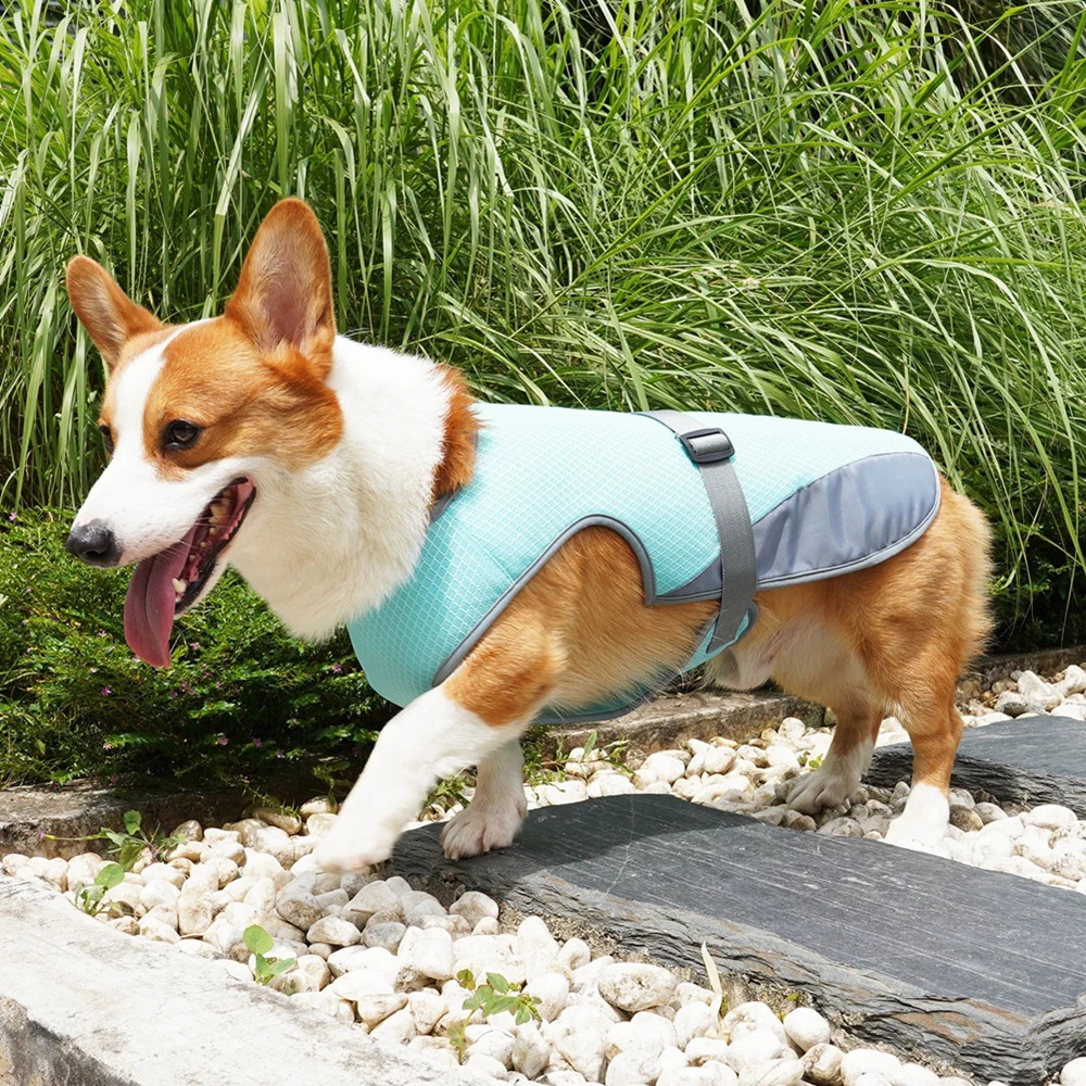 Summer Cooling Dog Vest Breathable Mesh Clothes for Small Large Dogs Outdoor Pet Cool Down Jackets Adjustable Dog Cooler Coat 250402