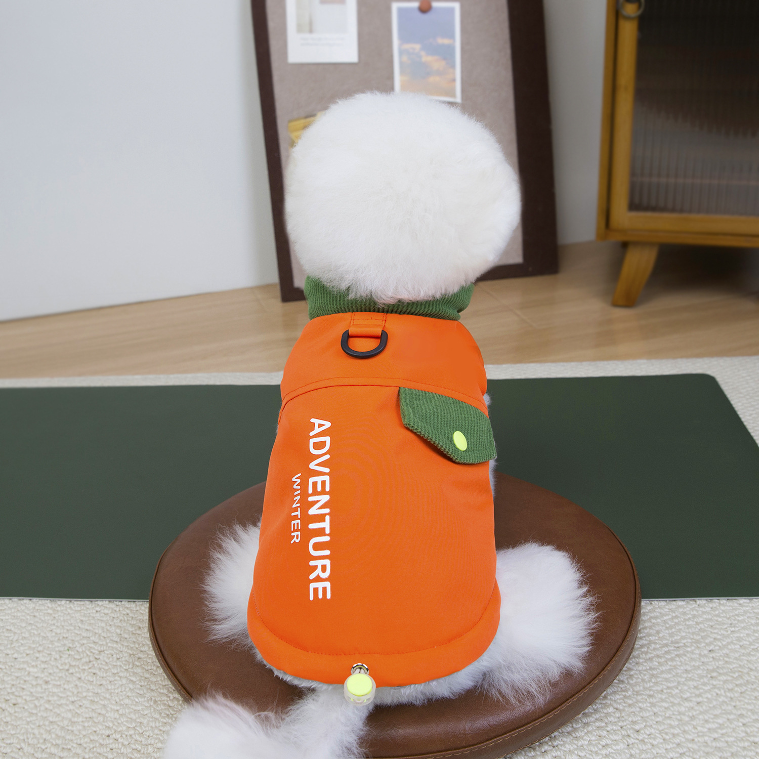 Adventure Winter Pet Vest with D-Ring & Reflective Detail, Letter-Embellished Colorful Warm Jacket for Small Dogs Like Bichon, Poodle, with Multiple C