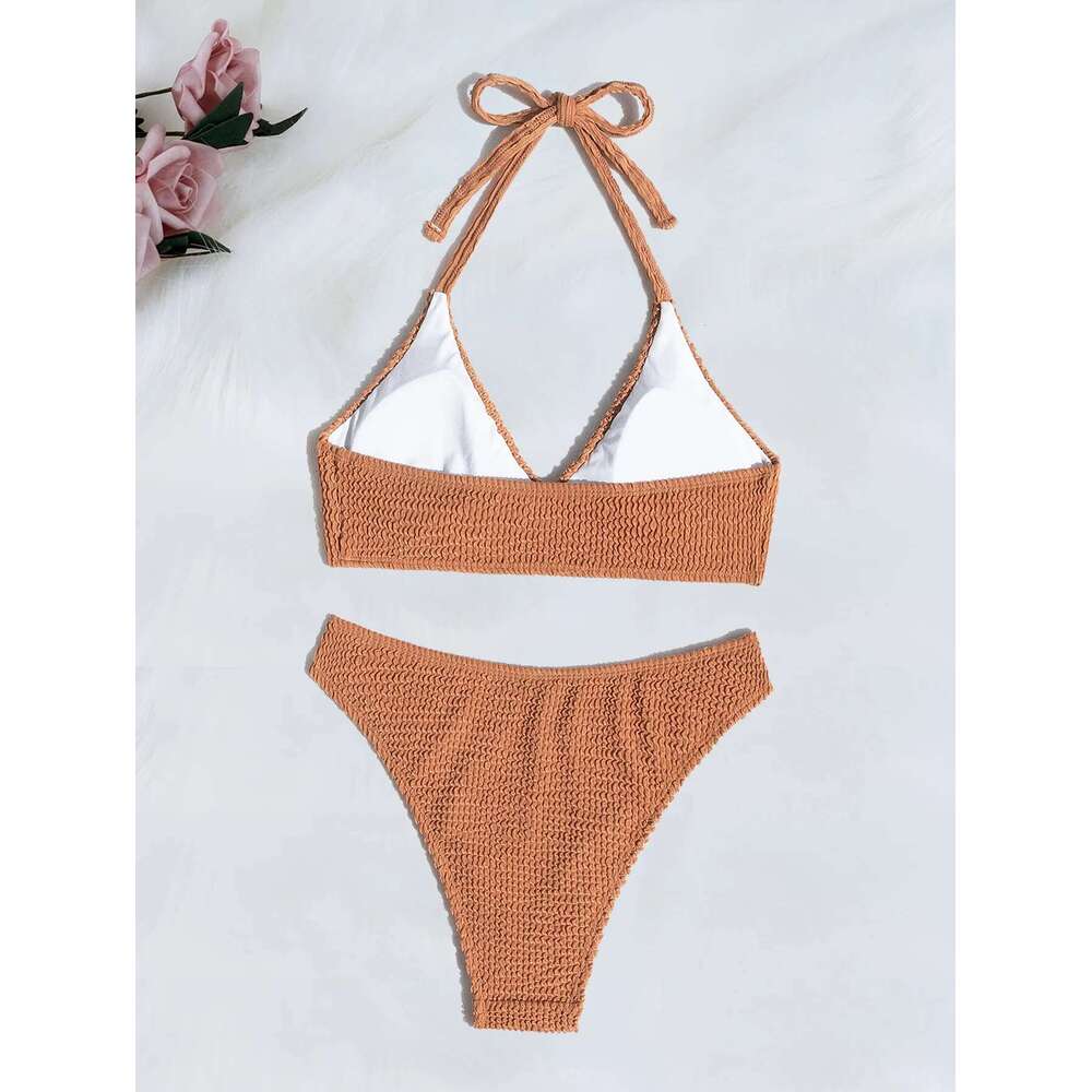 Women's Solid Color Brown 2 Piece Swimsuit 2025 New Bikini Set Sexy V-neck Halter Backless Bathing Suit Beach Vacation Swimwear