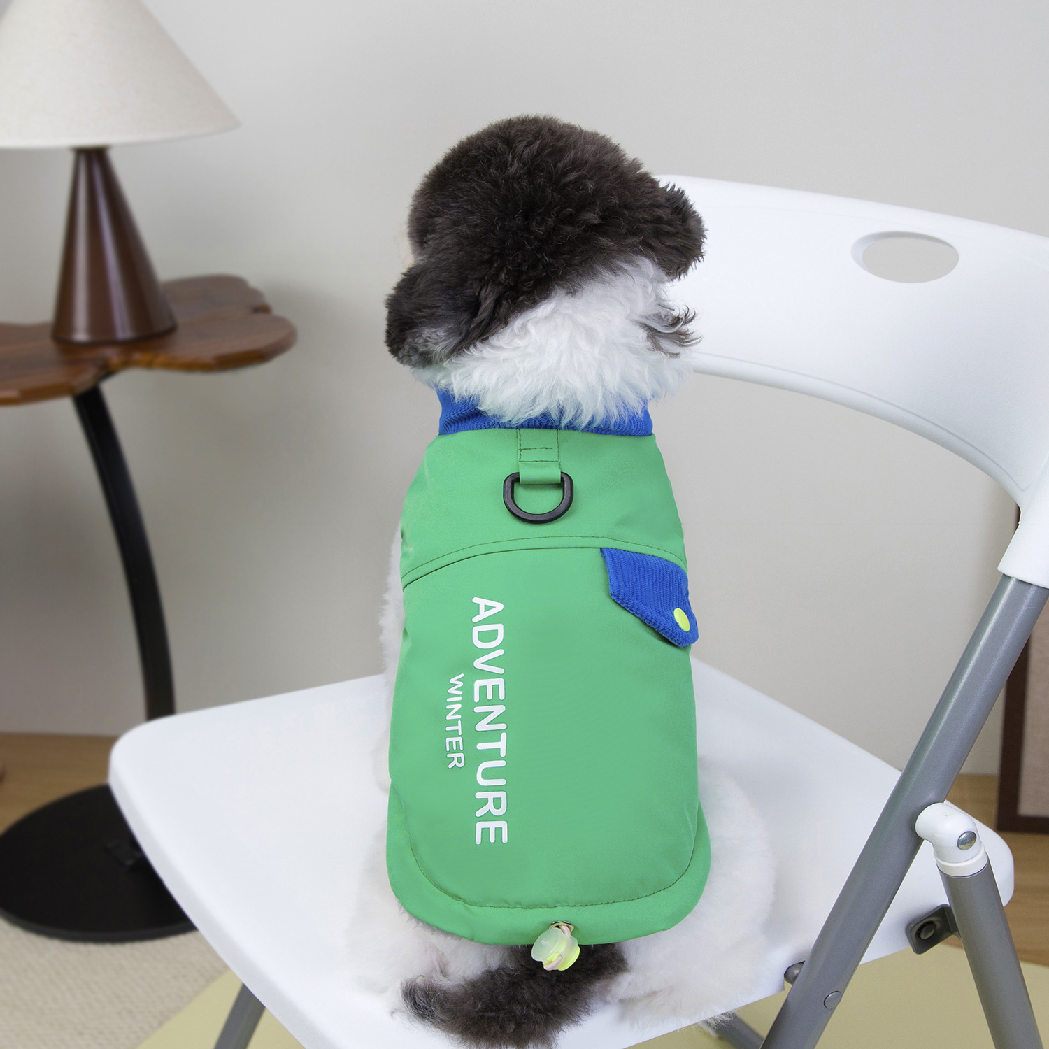 Adventure Winter Pet Vest with D-Ring & Reflective Detail, Letter-Embellished Colorful Warm Jacket for Small Dogs Like Bichon, Poodle, with Multiple C