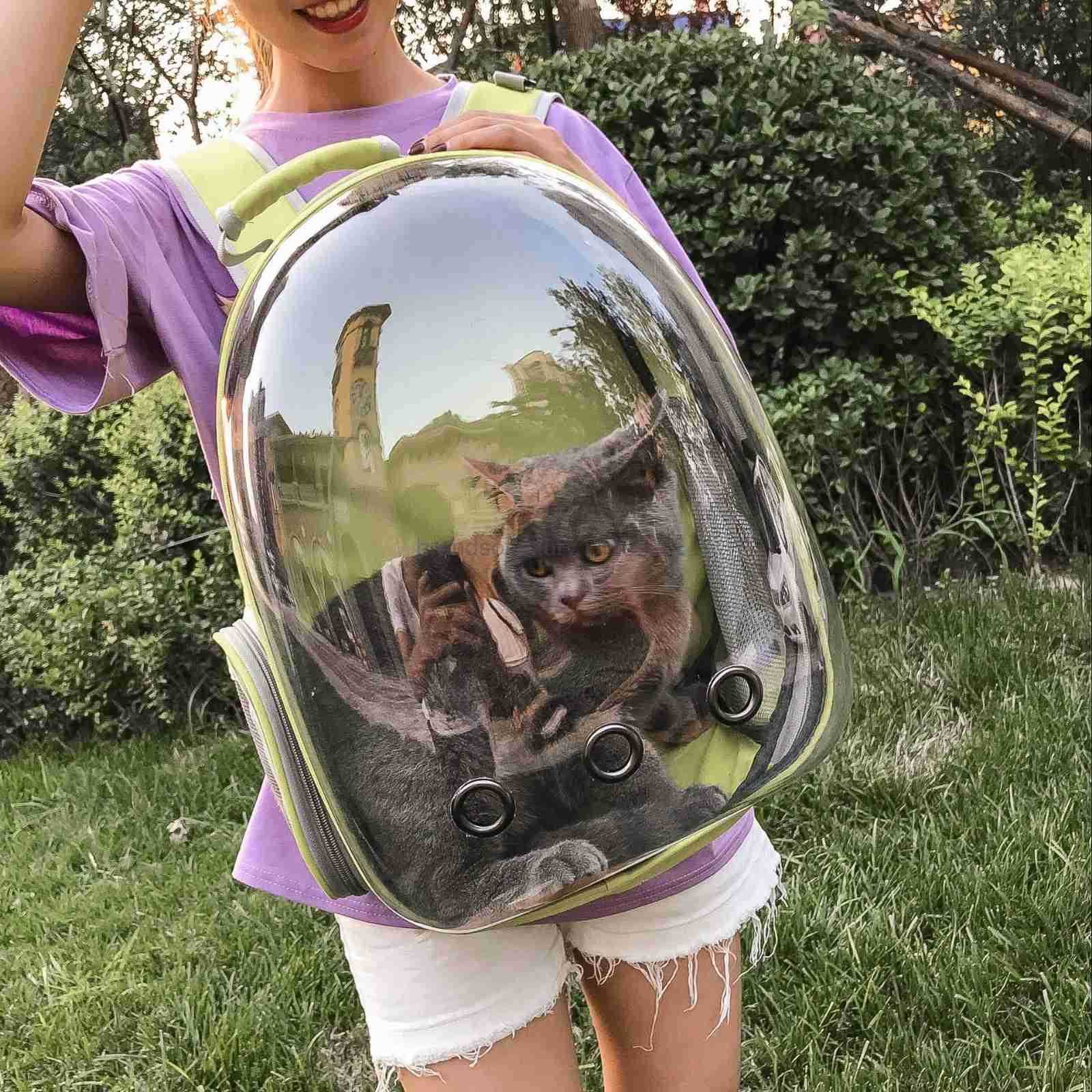 Pet backpack breathable portable travel backpack space capsule cat bag side open pet bag go out