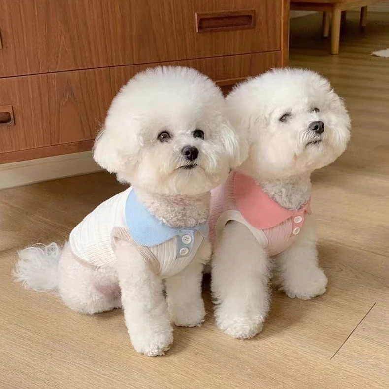 Summer Thin Dog Cat Pet Lapel T-shirt Cute Contrast Tank Top Teddy Bears Pomeranian Small Dog Cat Clothes Dog Cooling Vest 250402