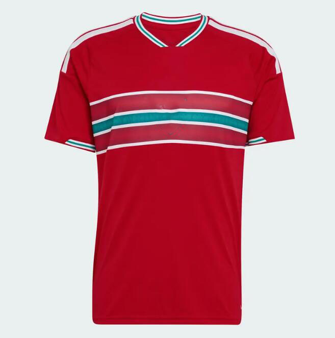 2026 World Cup Wales soccer jerseys JAMES BALE Men Home Away goalkeeper Training fans player football shirts JOHNSON N.WILLIAMS RODON T.ROBERTS CABANGO LEVITT S-4XL