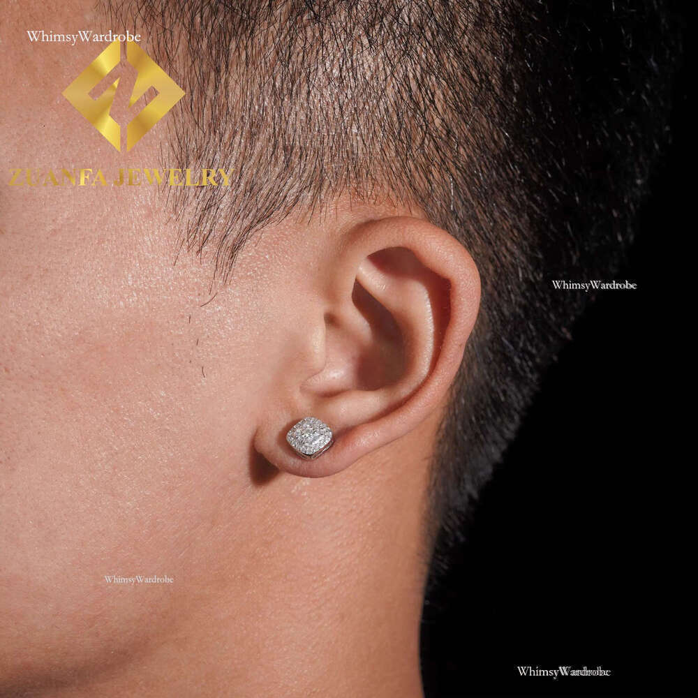Classic Fine Sterg Sier VVS Moissanite Stud Hip Hop Earring Jewelry Usex