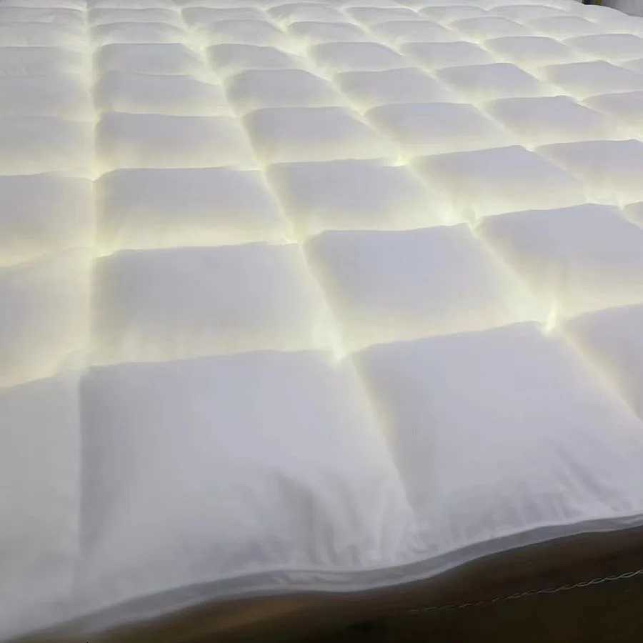 Designer KDJEIKZ Winter Cotton Goose Down Quilt Five-Star Hotel Duvet Super Soft Fluffy Queen King Full Size Four Seasons Duvets Blanket Y251106