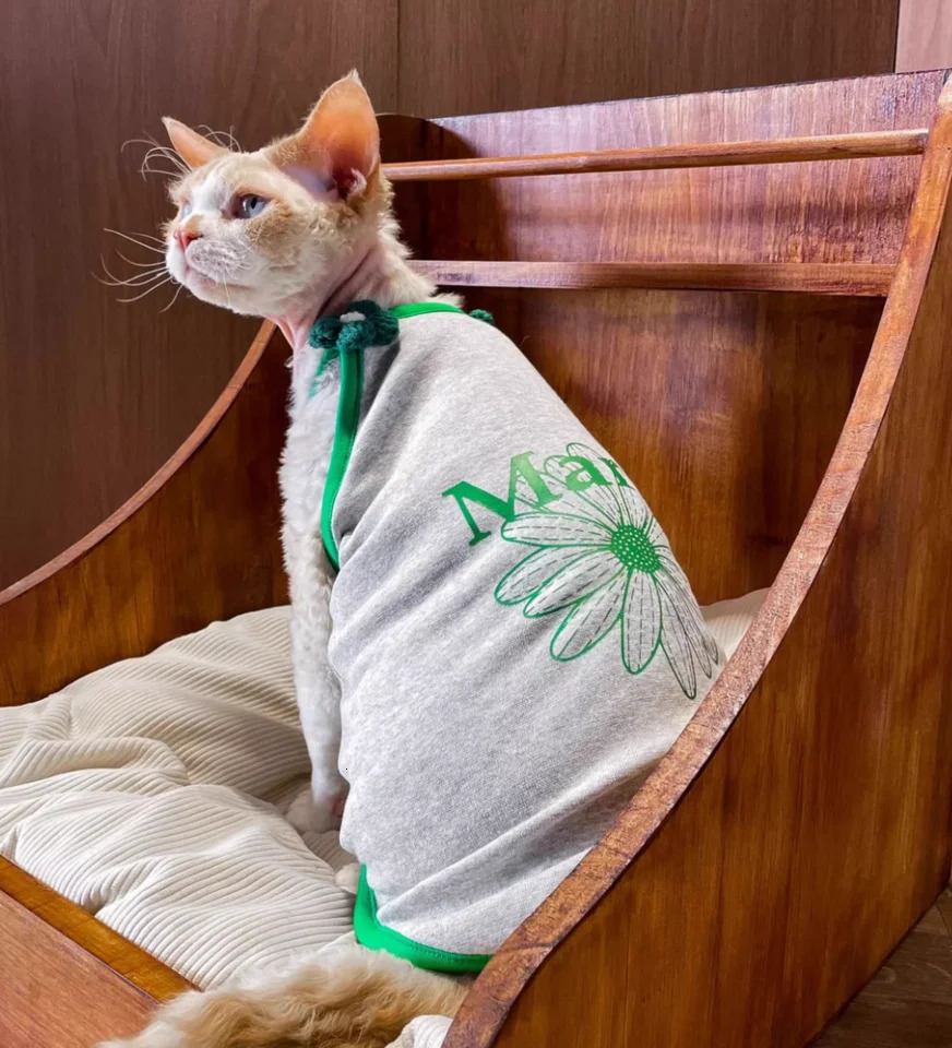 Spring Summer Vest for Pets Dog Cat Puppy Teddy Fadou Bears Small Dog Vest 250402