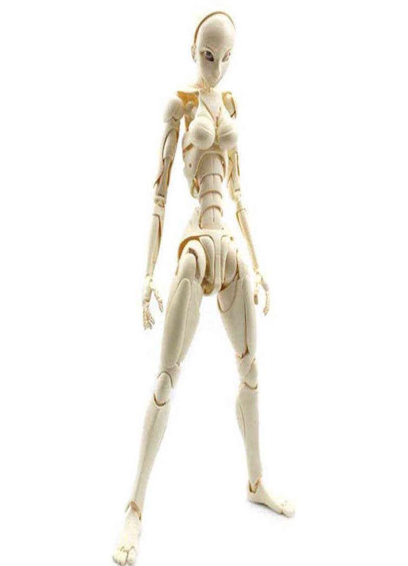 Special Full Action Type3 SFBT3 29cm Jointed Figure Body Module Collection Gifts H22040875453665734295